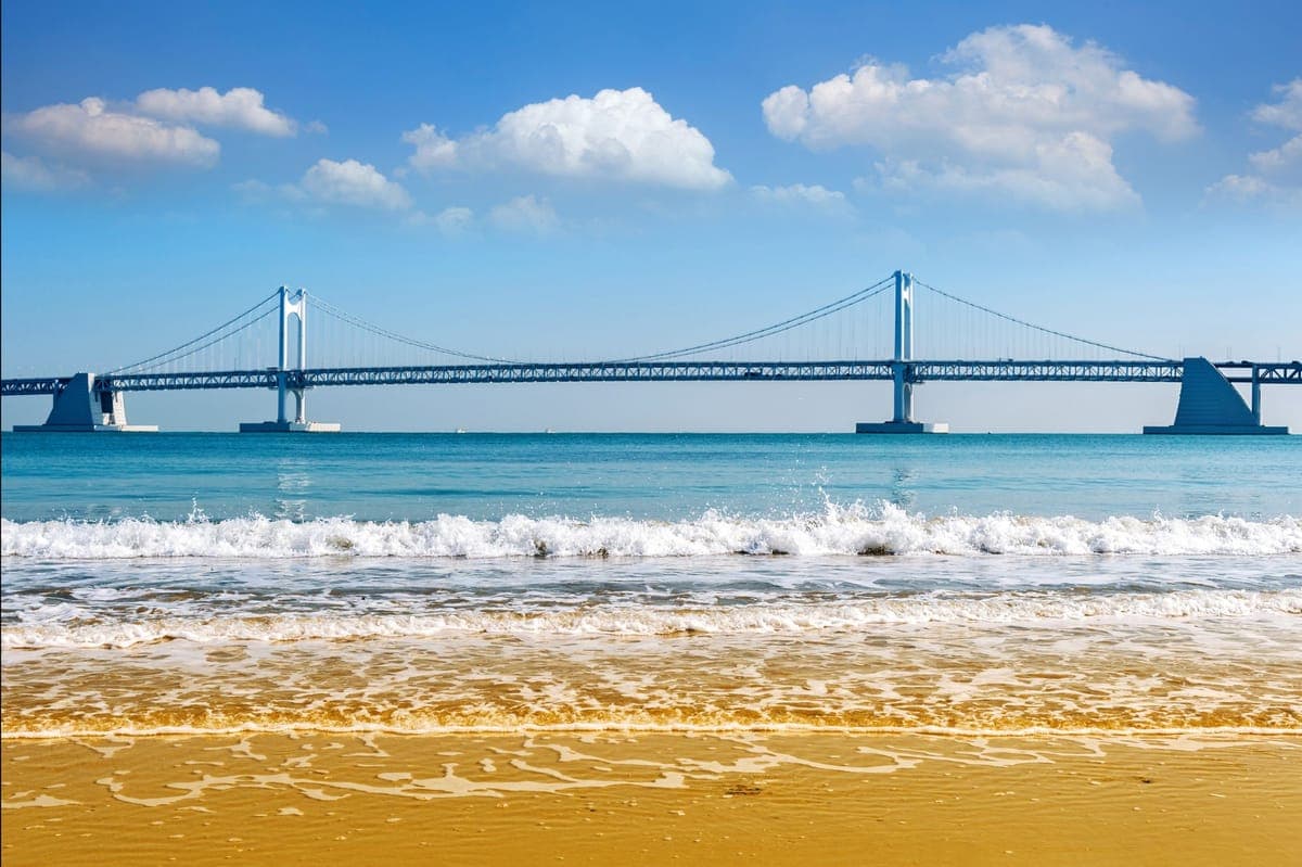 MSC 벨리시마 부산·상하이·제주 4박 크루즈