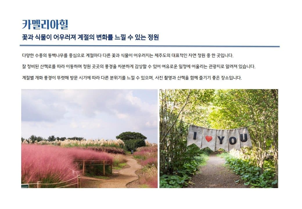 카멜리아힐
