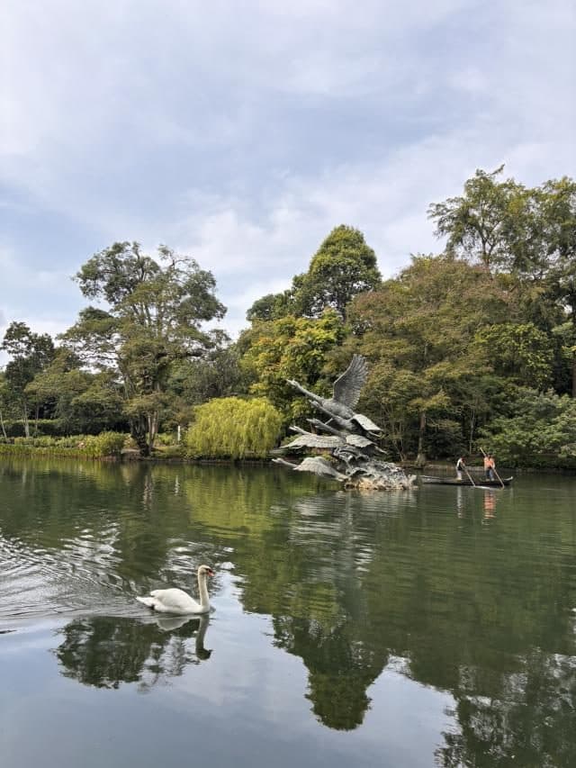 보타닉 가든 (Botanic Gardens)