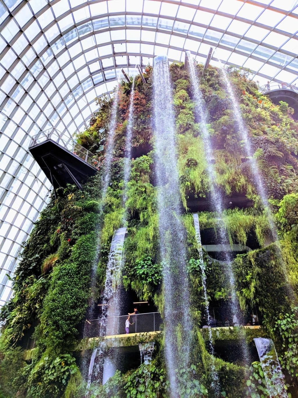 가든스 바이 더 베이 (Gardens by the Bay)