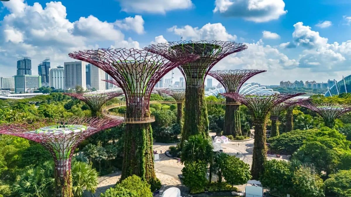 가든스 바이 더 베이 (Gardens by the Bay)