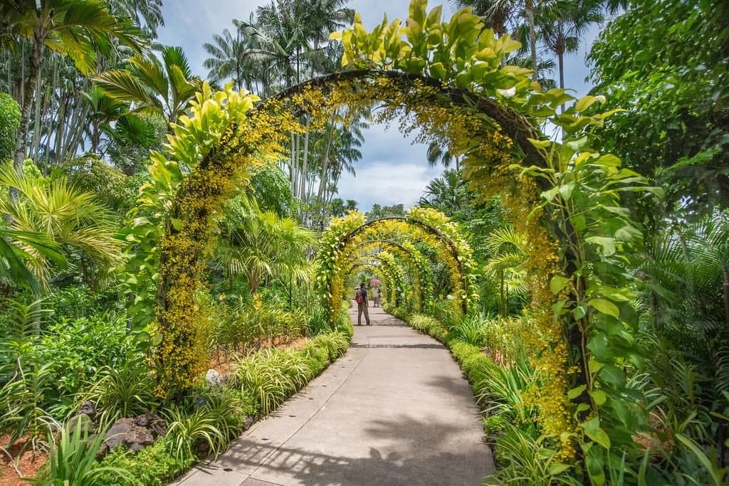 보타닉 가든 (Singapore Botanic Gardens)