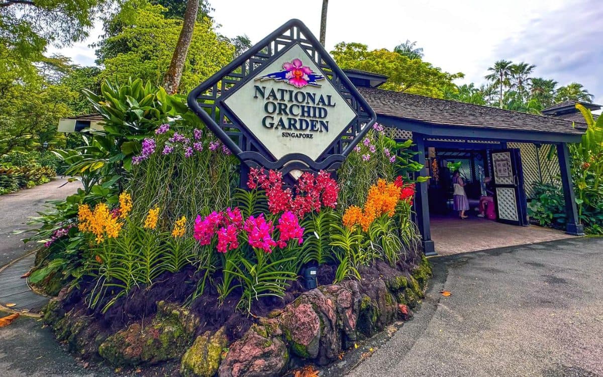 보타닉 가든 (Singapore Botanic Gardens)