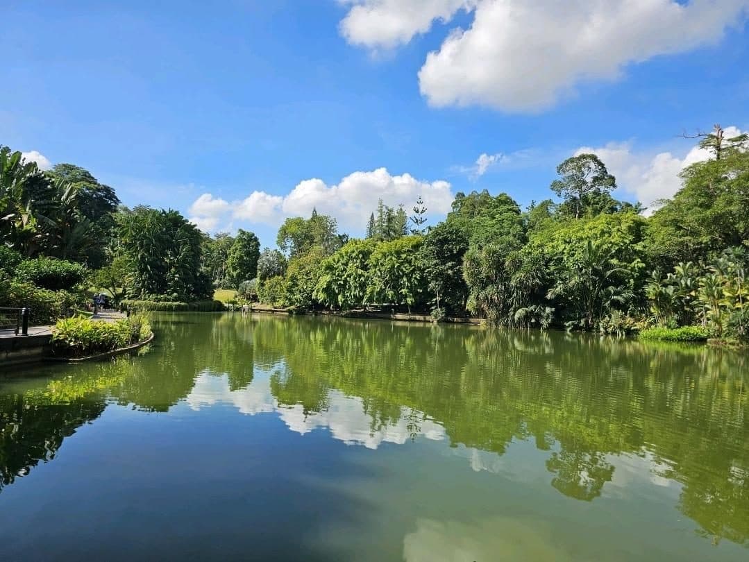 보타닉 가든 (Singapore Botanic Gardens)